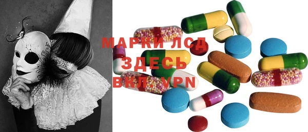 хмурый Новозыбков