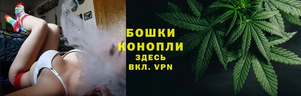 хмурый Новозыбков