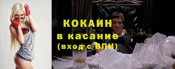 хмурый Новозыбков