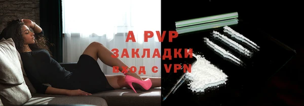 хмурый Новозыбков