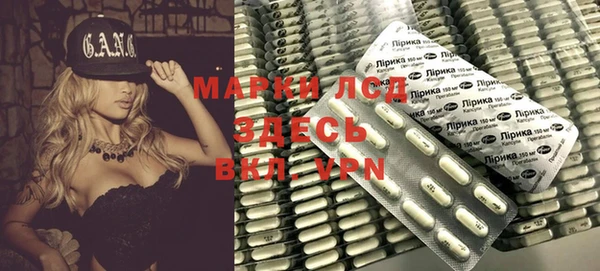 хмурый Новозыбков