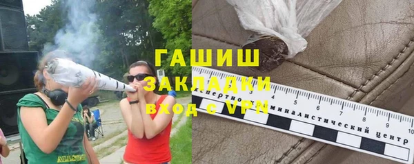 хмурый Новозыбков