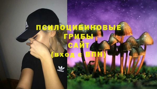кокаин Новодвинск