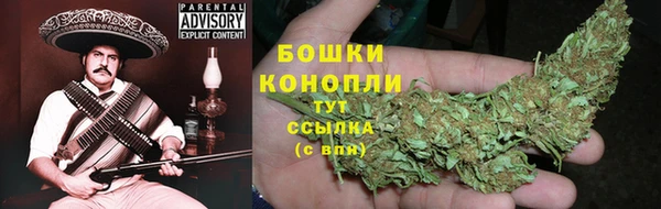 хмурый Новозыбков