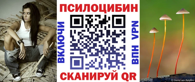 Псилоцибиновые грибы GOLDEN TEACHER  ОМГ ОМГ зеркало  Тюкалинск 